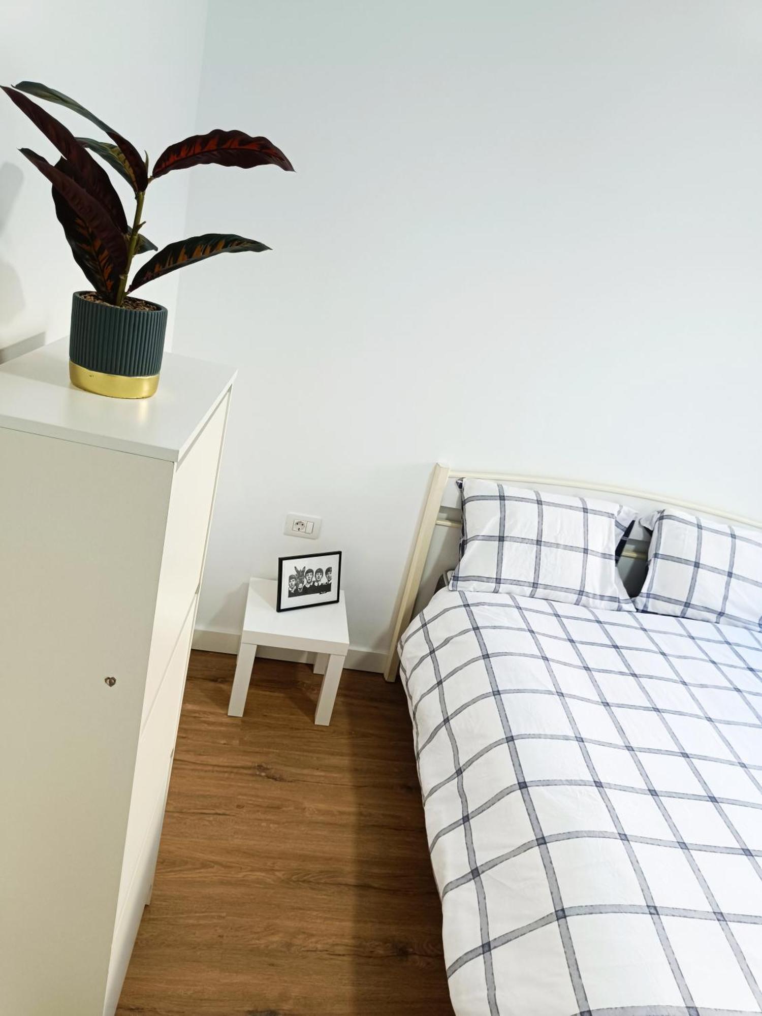 Апартаменты Apartamento Meraki Санта-Крус-де-Тенерифе Экстерьер фото
